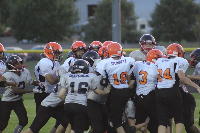 的執教經歷 的執教經歷