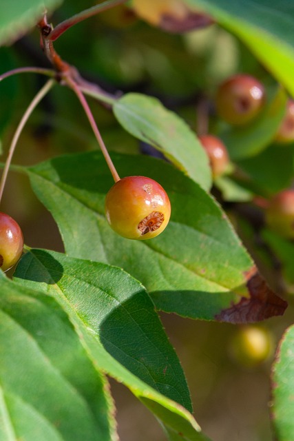 深厚的執教 深厚的執教