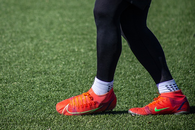 文明的生活 文明的生活