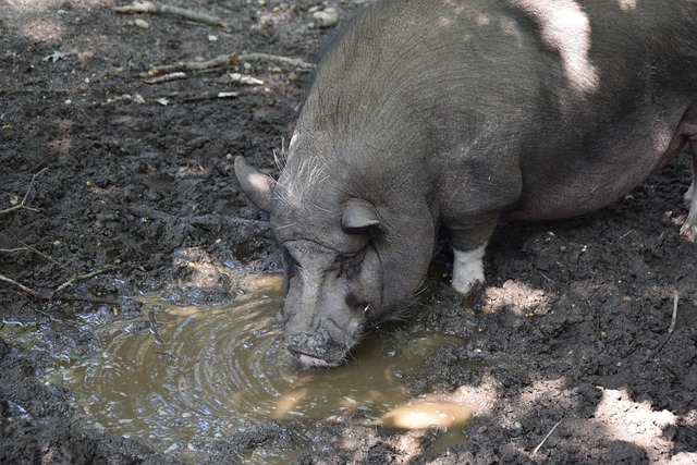 与对手抗衡 与对手抗衡