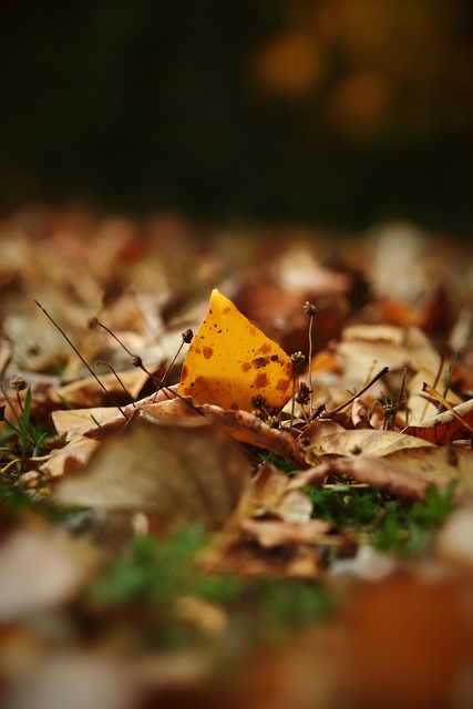 期待的赛季 期待的赛季