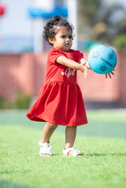 力的重要组 力的重要组