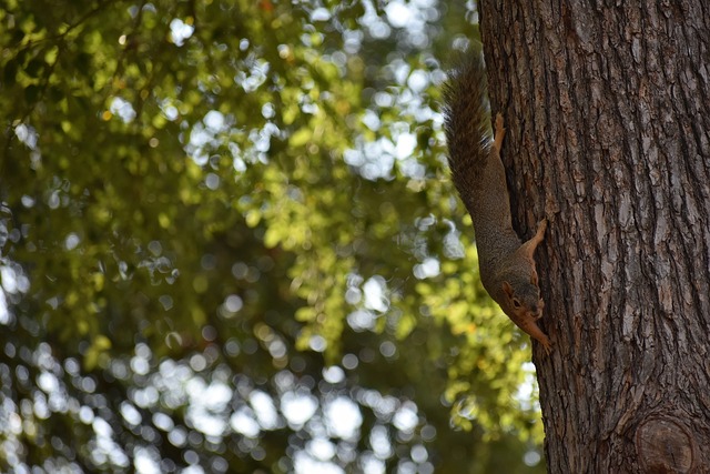 不仅仅为中 不仅仅为中