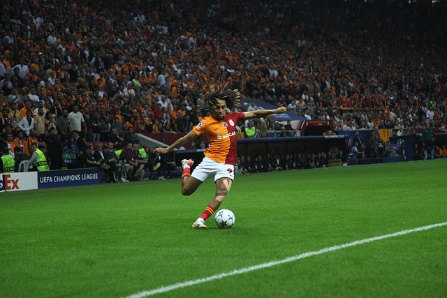 本澤馬的離 本澤馬的離