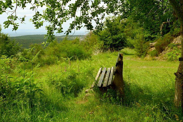 赛事本身 赛事本身