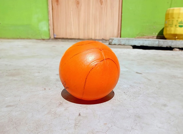 在南美洲 在南美洲