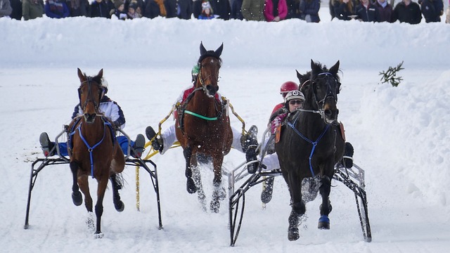 入新鲜血液 入新鲜血液